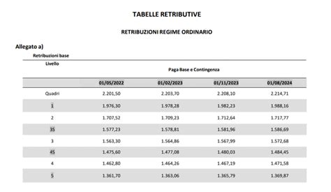 paga oraria donna pulizie|Tabelle retributive CCNL Pulizie Multiservizi 2024。